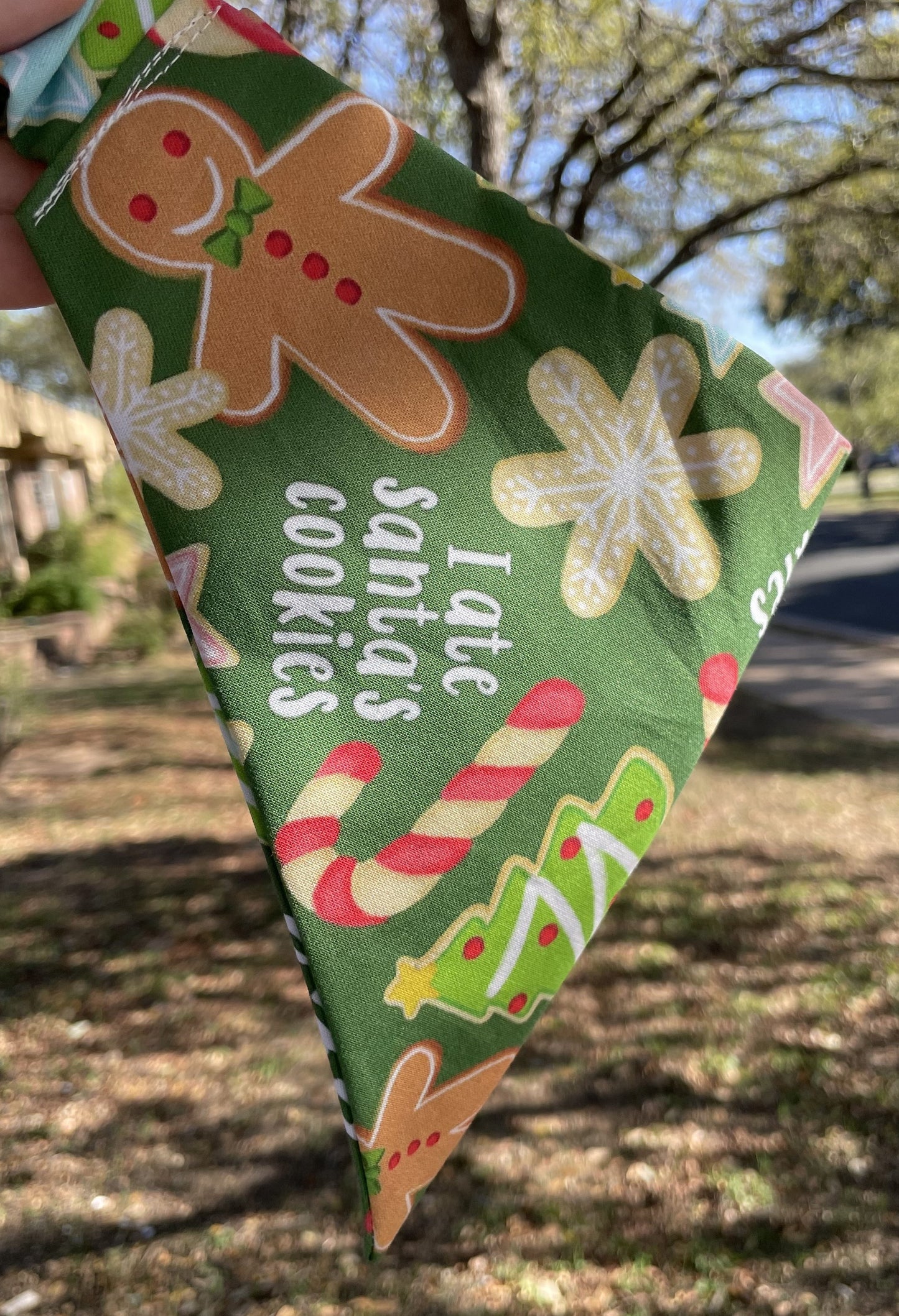 Who ate Santa's cookies?