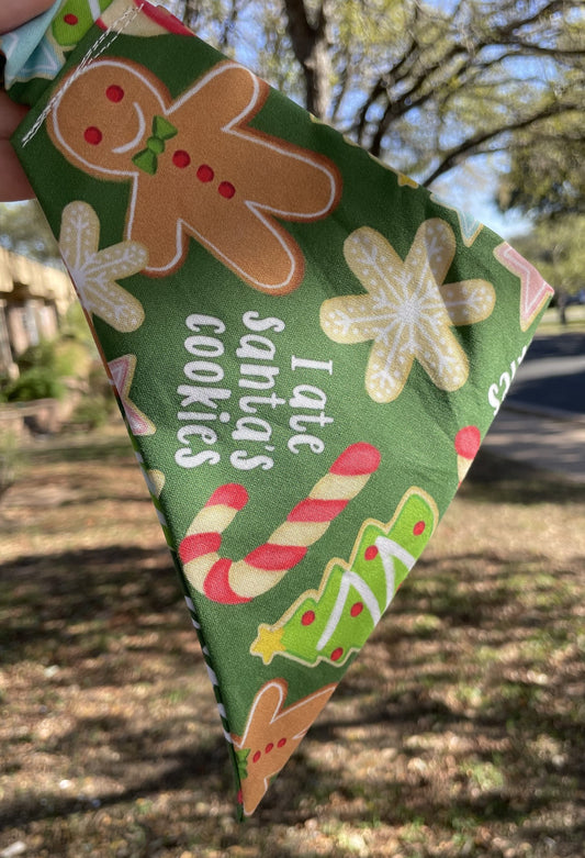 Who ate Santa's cookies?